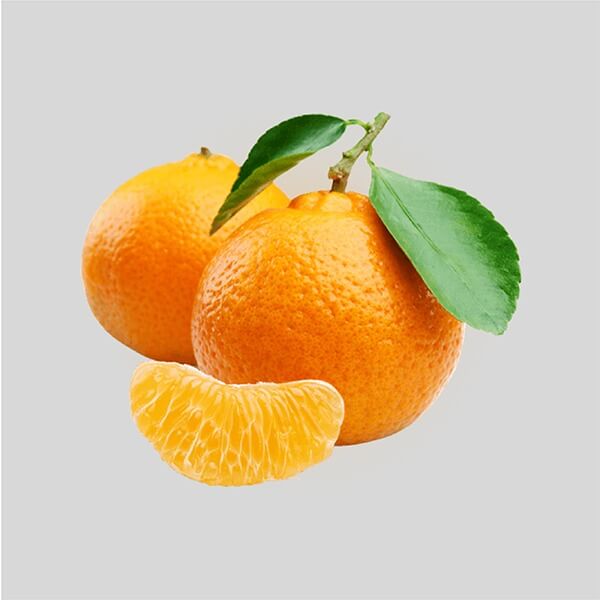 Fruiter 1kg (pak)